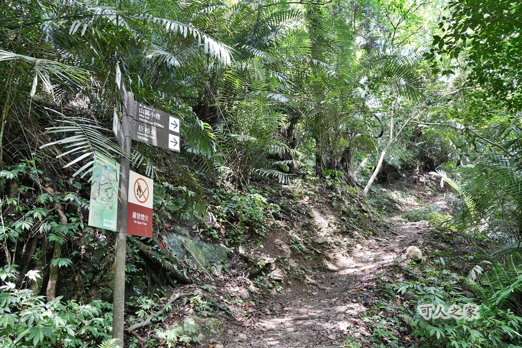 健行推薦,南投旅遊,台灣森林浴,埔里景點,惠蓀林場,惠蓀林場住宿,惠蓀林場涉水步道,登山步道,親子一日遊 健行推薦,南投旅遊,台灣森林浴,埔里景點,惠蓀林場,惠蓀林場住宿,惠蓀林場涉水步道,登山步道,親子一日遊