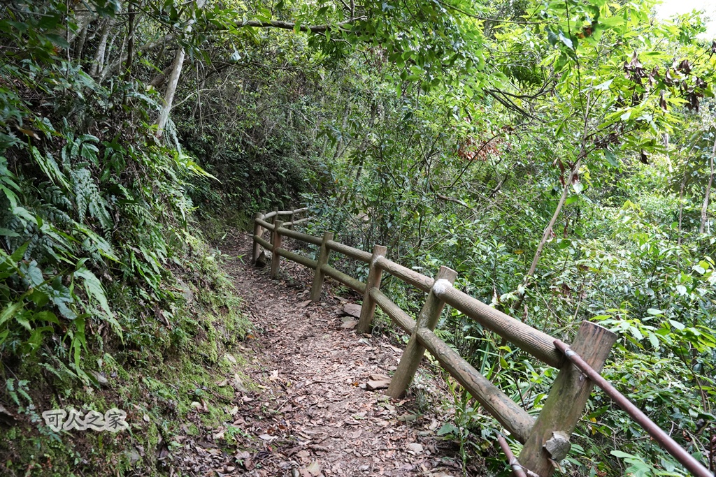 健行推薦,南投旅遊,台灣森林浴,埔里景點,惠蓀林場,惠蓀林場住宿,惠蓀林場涉水步道,登山步道,親子一日遊 健行推薦,南投旅遊,台灣森林浴,埔里景點,惠蓀林場,惠蓀林場住宿,惠蓀林場涉水步道,登山步道,親子一日遊