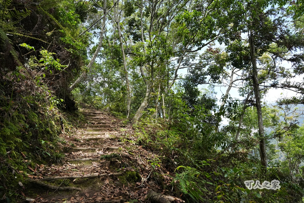 健行推薦,南投旅遊,台灣森林浴,埔里景點,惠蓀林場,惠蓀林場住宿,惠蓀林場涉水步道,登山步道,親子一日遊