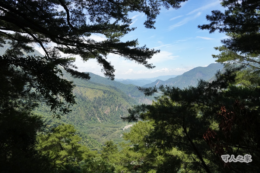 健行推薦,南投旅遊,台灣森林浴,埔里景點,惠蓀林場,惠蓀林場住宿,惠蓀林場涉水步道,登山步道,親子一日遊