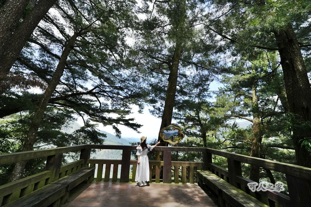 健行推薦,南投旅遊,台灣森林浴,埔里景點,惠蓀林場,惠蓀林場住宿,惠蓀林場涉水步道,登山步道,親子一日遊 健行推薦,南投旅遊,台灣森林浴,埔里景點,惠蓀林場,惠蓀林場住宿,惠蓀林場涉水步道,登山步道,親子一日遊