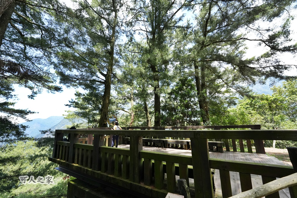 健行推薦,南投旅遊,台灣森林浴,埔里景點,惠蓀林場,惠蓀林場住宿,惠蓀林場涉水步道,登山步道,親子一日遊 健行推薦,南投旅遊,台灣森林浴,埔里景點,惠蓀林場,惠蓀林場住宿,惠蓀林場涉水步道,登山步道,親子一日遊
