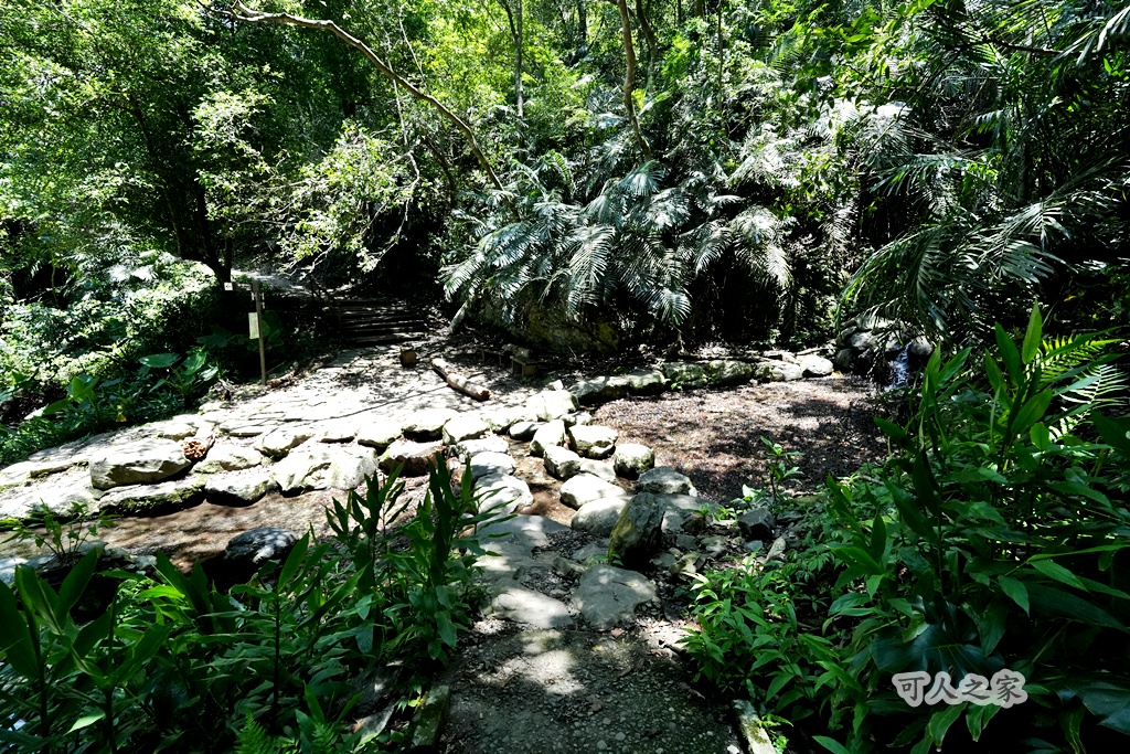 健行推薦,南投旅遊,台灣森林浴,埔里景點,惠蓀林場,惠蓀林場住宿,惠蓀林場涉水步道,登山步道,親子一日遊 健行推薦,南投旅遊,台灣森林浴,埔里景點,惠蓀林場,惠蓀林場住宿,惠蓀林場涉水步道,登山步道,親子一日遊