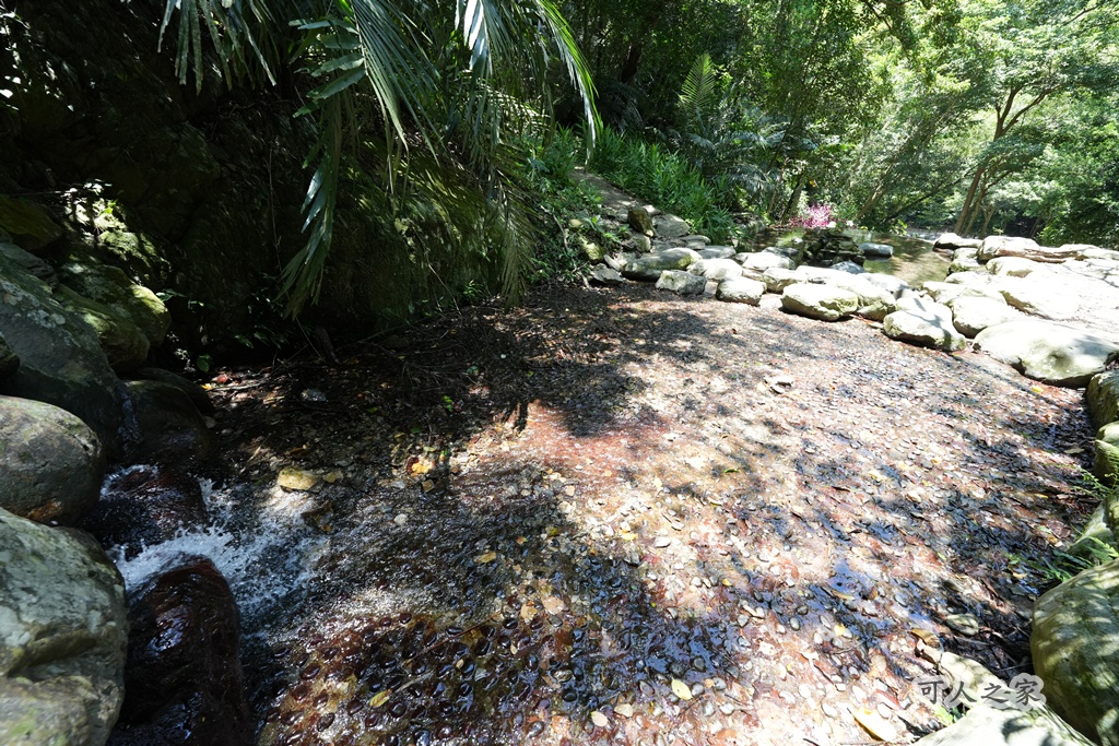 健行推薦,南投旅遊,台灣森林浴,埔里景點,惠蓀林場,惠蓀林場住宿,惠蓀林場涉水步道,登山步道,親子一日遊 健行推薦,南投旅遊,台灣森林浴,埔里景點,惠蓀林場,惠蓀林場住宿,惠蓀林場涉水步道,登山步道,親子一日遊