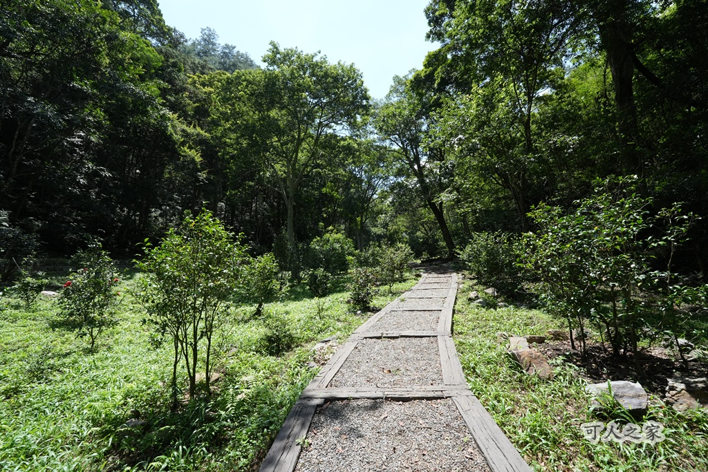 健行推薦,南投旅遊,台灣森林浴,埔里景點,惠蓀林場,惠蓀林場住宿,惠蓀林場涉水步道,登山步道,親子一日遊 健行推薦,南投旅遊,台灣森林浴,埔里景點,惠蓀林場,惠蓀林場住宿,惠蓀林場涉水步道,登山步道,親子一日遊
