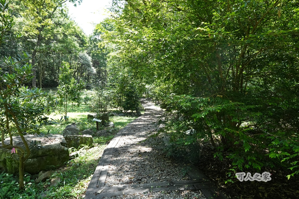 健行推薦,南投旅遊,台灣森林浴,埔里景點,惠蓀林場,惠蓀林場住宿,惠蓀林場涉水步道,登山步道,親子一日遊 健行推薦,南投旅遊,台灣森林浴,埔里景點,惠蓀林場,惠蓀林場住宿,惠蓀林場涉水步道,登山步道,親子一日遊