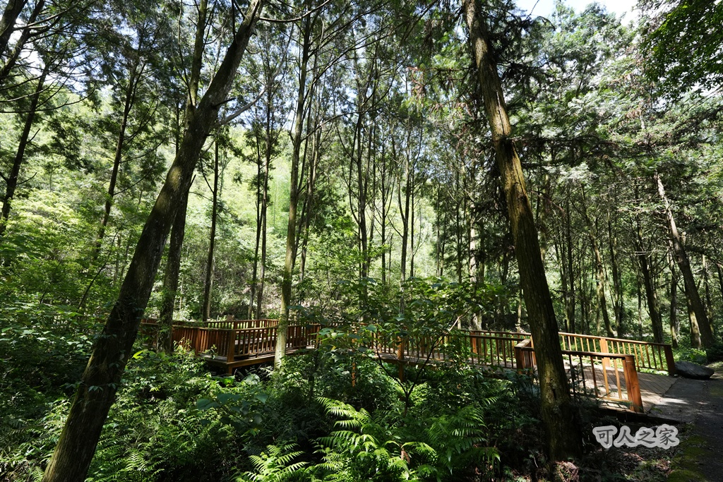 健行推薦,南投旅遊,台灣森林浴,埔里景點,惠蓀林場,惠蓀林場住宿,惠蓀林場涉水步道,登山步道,親子一日遊