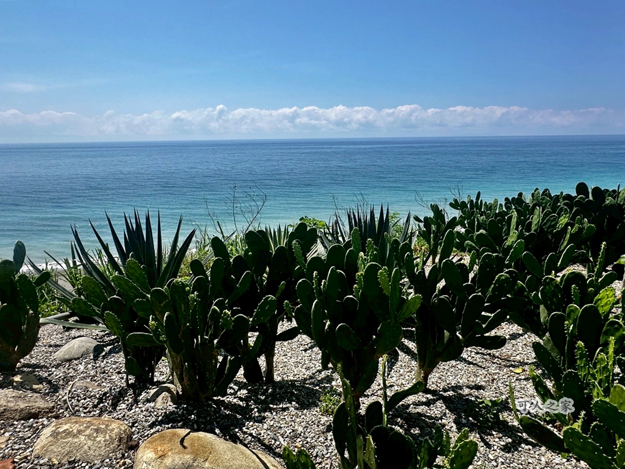 台東新景點【海邊有刺】仙人掌秘境海景第一排!眺望陸連島、悠閒喝咖啡超chill~ @可人之家 @可人之家