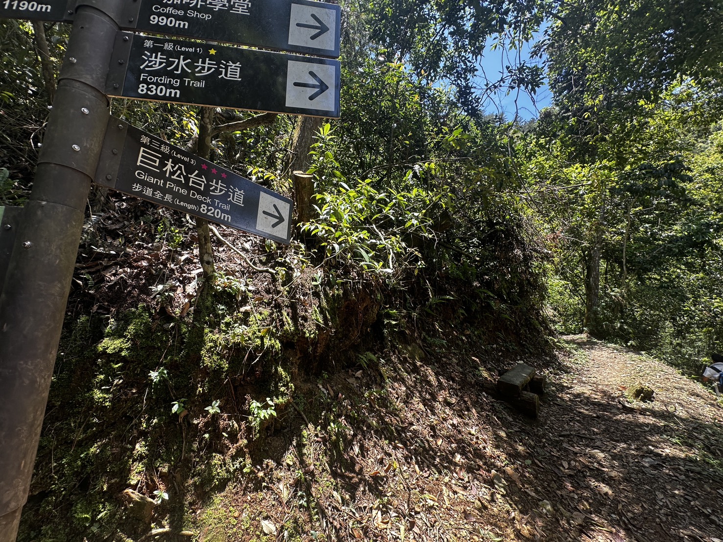 健行推薦,南投旅遊,台灣森林浴,埔里景點,惠蓀林場,惠蓀林場住宿,惠蓀林場涉水步道,登山步道,親子一日遊 健行推薦,南投旅遊,台灣森林浴,埔里景點,惠蓀林場,惠蓀林場住宿,惠蓀林場涉水步道,登山步道,親子一日遊