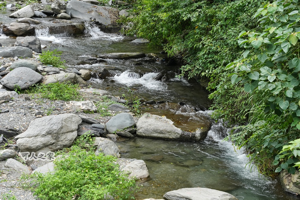 台東在地景點,台東旅遊,台東消暑景點,台東玩水景點,台東秘境,台東秘境推薦,延平蝴蝶谷,延平鄉秘境,戶外活動,放鬆景點,桃源村蝴蝶谷秘境,溪邊玩水,私房景點,自然景觀,親子旅遊