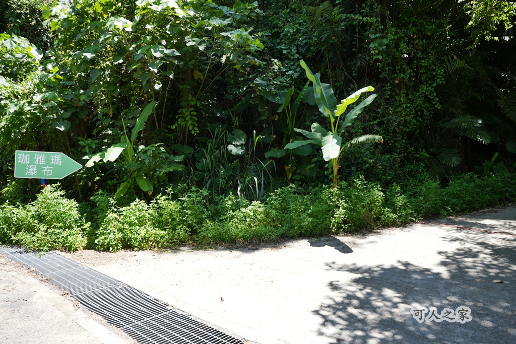 O型步道,嘉義旅遊,嘉義秘境,嘉義阿里山,夏日消暑,天然山泉,屯阿巴娜步道,戲水景點,旅遊攻略.,森林浴,水火同源,瀑布推薦,瀑布秘境,珈雅瑪瀑布,翡翠溪谷,茶山村,避暑勝地,開車直達,阿里山景點