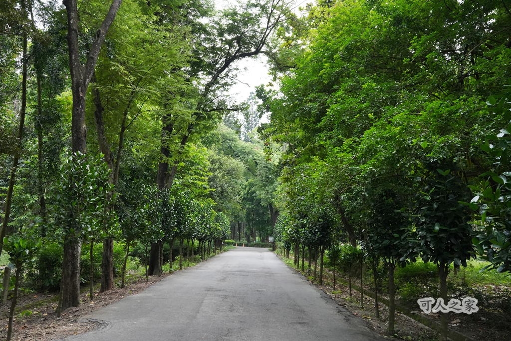 嘉義公園,嘉義景點,嘉義樹木園,森林浴,檜意森活村。,步道,生態,自然景觀,芬多精,都市綠洲