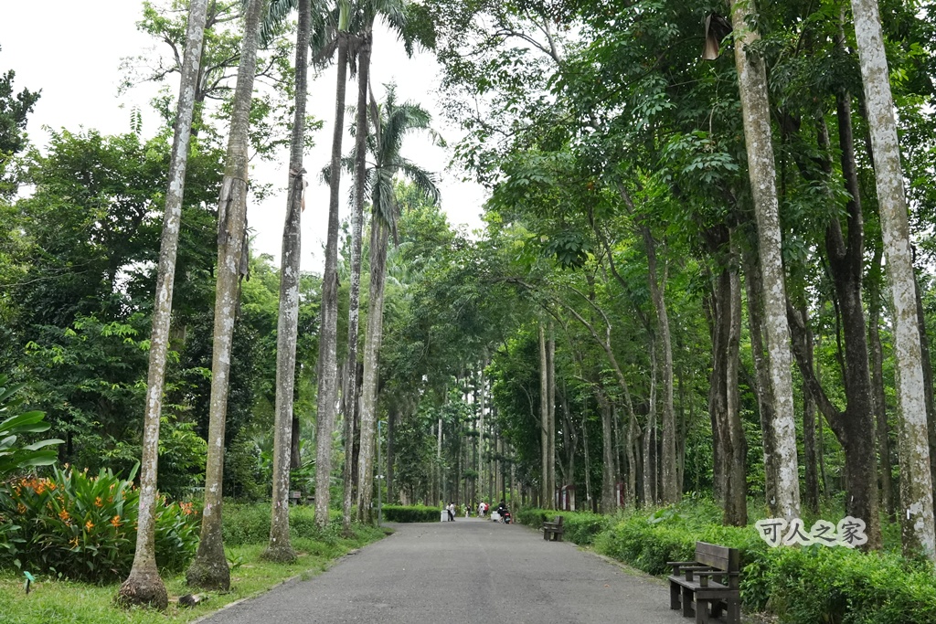 嘉義公園,嘉義景點,嘉義樹木園,森林浴,檜意森活村。,步道,生態,自然景觀,芬多精,都市綠洲
