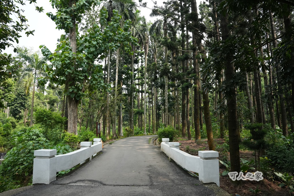 嘉義公園,嘉義景點,嘉義樹木園,森林浴,檜意森活村。,步道,生態,自然景觀,芬多精,都市綠洲