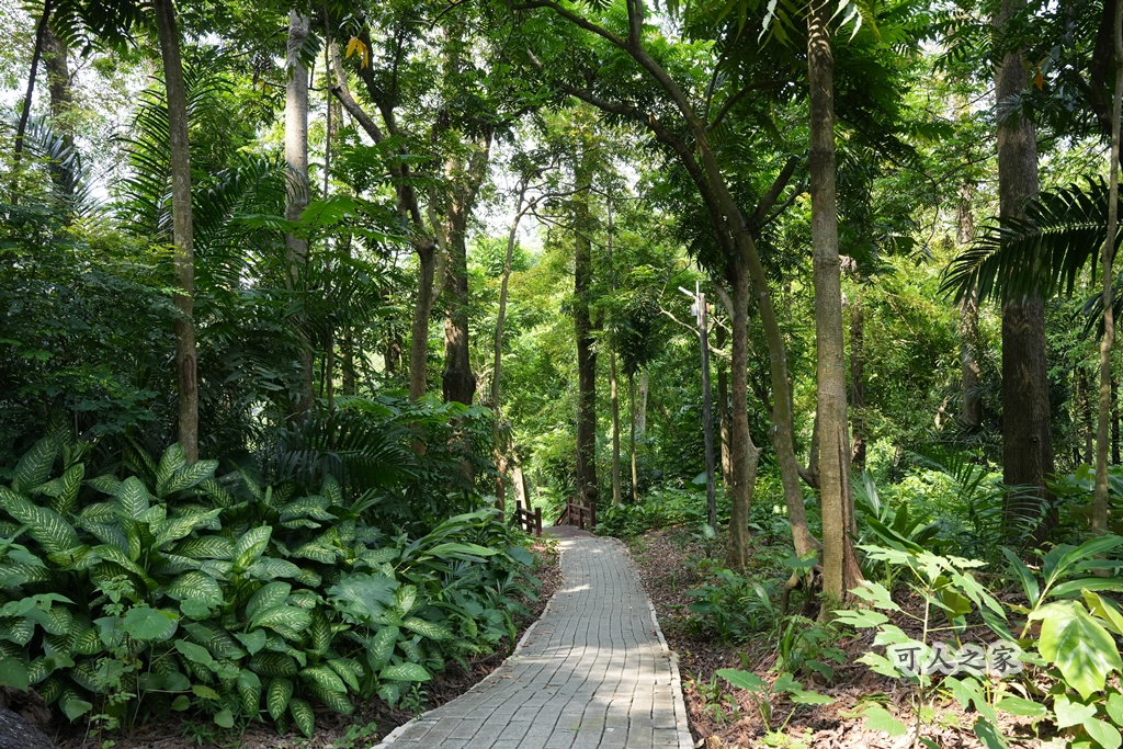 嘉義公園,嘉義景點,嘉義樹木園,森林浴,檜意森活村。,步道,生態,自然景觀,芬多精,都市綠洲