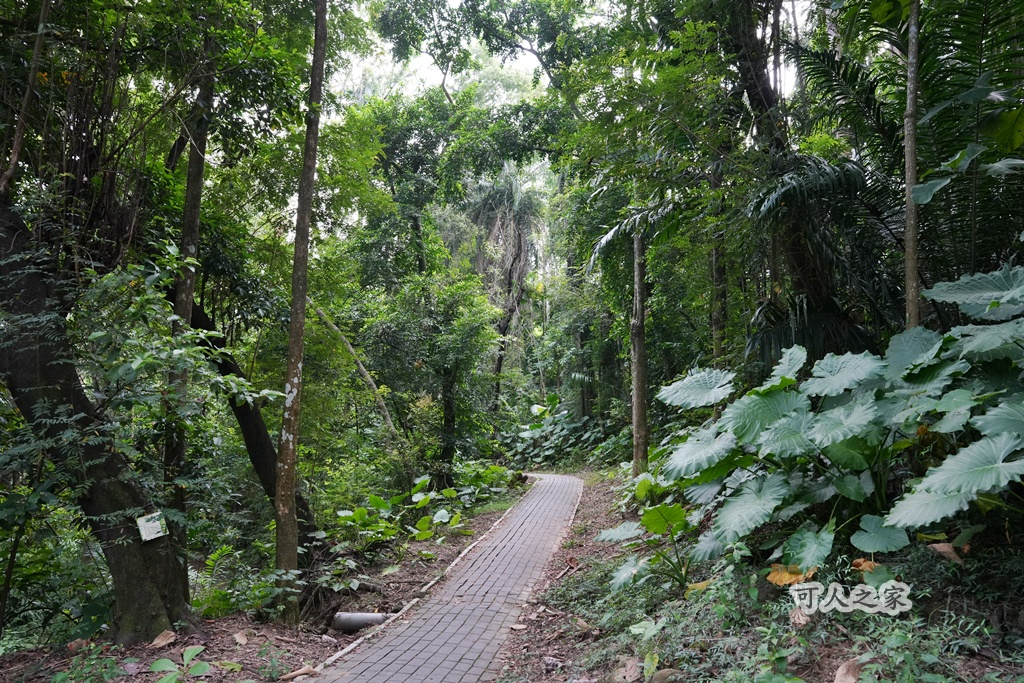 嘉義公園,嘉義景點,嘉義樹木園,森林浴,檜意森活村。,步道,生態,自然景觀,芬多精,都市綠洲
