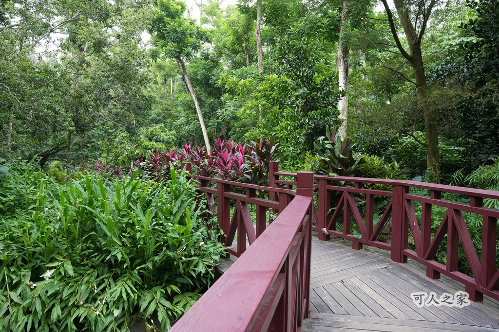 嘉義公園,嘉義景點,嘉義樹木園,森林浴,檜意森活村。,步道,生態,自然景觀,芬多精,都市綠洲