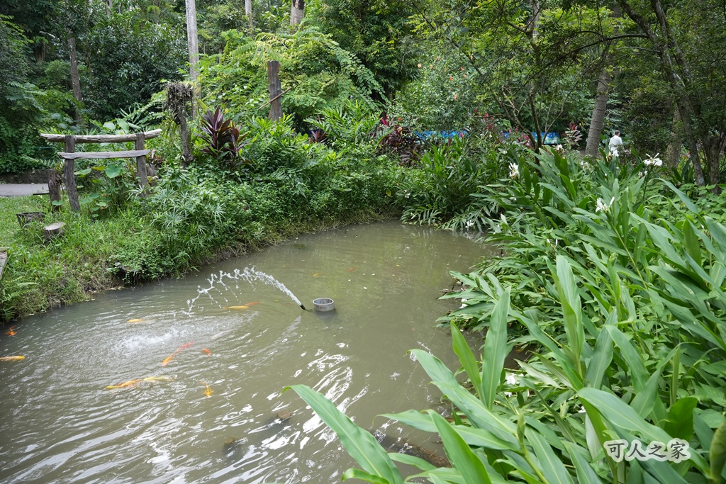 嘉義公園,嘉義景點,嘉義樹木園,森林浴,檜意森活村。,步道,生態,自然景觀,芬多精,都市綠洲
