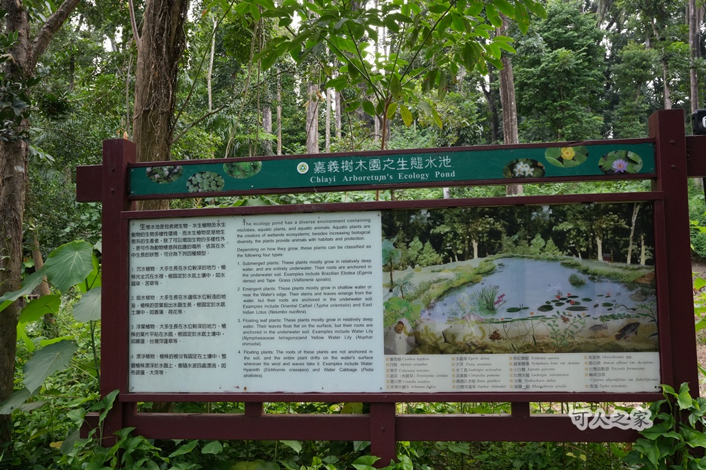 嘉義公園,嘉義景點,嘉義樹木園,森林浴,檜意森活村。,步道,生態,自然景觀,芬多精,都市綠洲