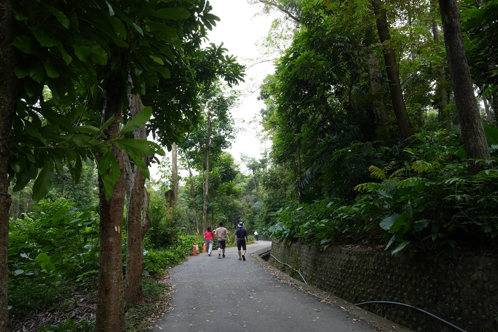 嘉義公園,嘉義景點,嘉義樹木園,森林浴,檜意森活村。,步道,生態,自然景觀,芬多精,都市綠洲