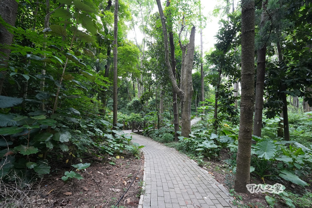 嘉義公園,嘉義景點,嘉義樹木園,森林浴,檜意森活村。,步道,生態,自然景觀,芬多精,都市綠洲