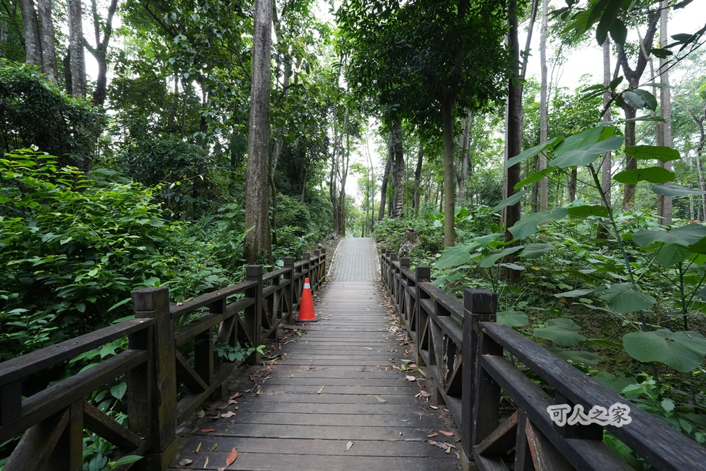 嘉義公園,嘉義景點,嘉義樹木園,森林浴,檜意森活村。,步道,生態,自然景觀,芬多精,都市綠洲