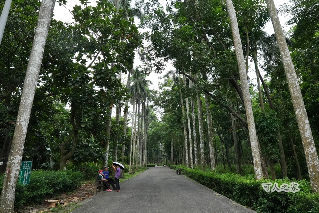 嘉義公園,嘉義景點,嘉義樹木園,森林浴,檜意森活村。,步道,生態,自然景觀,芬多精,都市綠洲