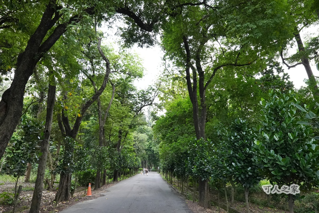 嘉義公園,嘉義景點,嘉義樹木園,森林浴,檜意森活村。,步道,生態,自然景觀,芬多精,都市綠洲