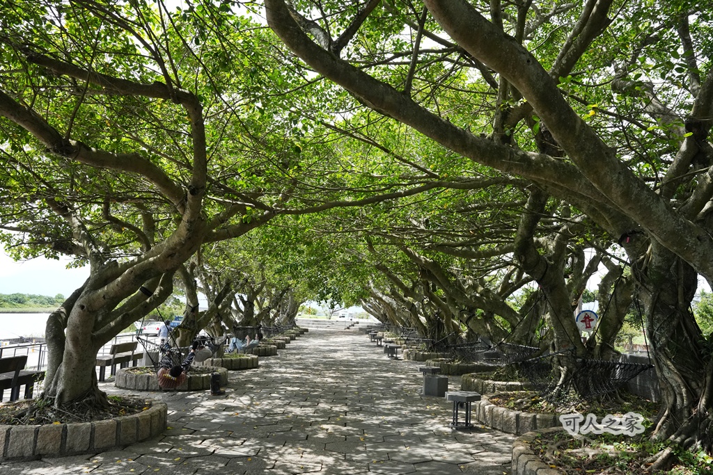 網站近期文章：在公園躺著看海景！綠色隧道下整排吊床，涼爽的氣候太chill啦~