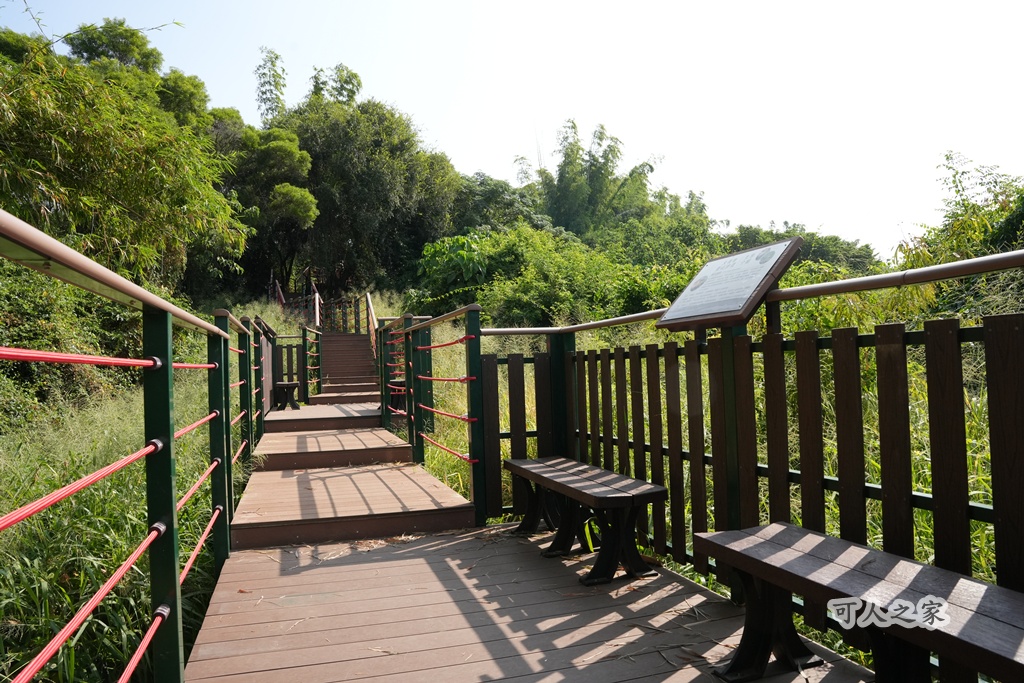 大嶺巷登山步道,彰化花壇步道,虎山巖步道