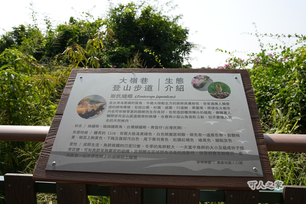 大嶺巷登山步道,彰化花壇步道,虎山巖步道