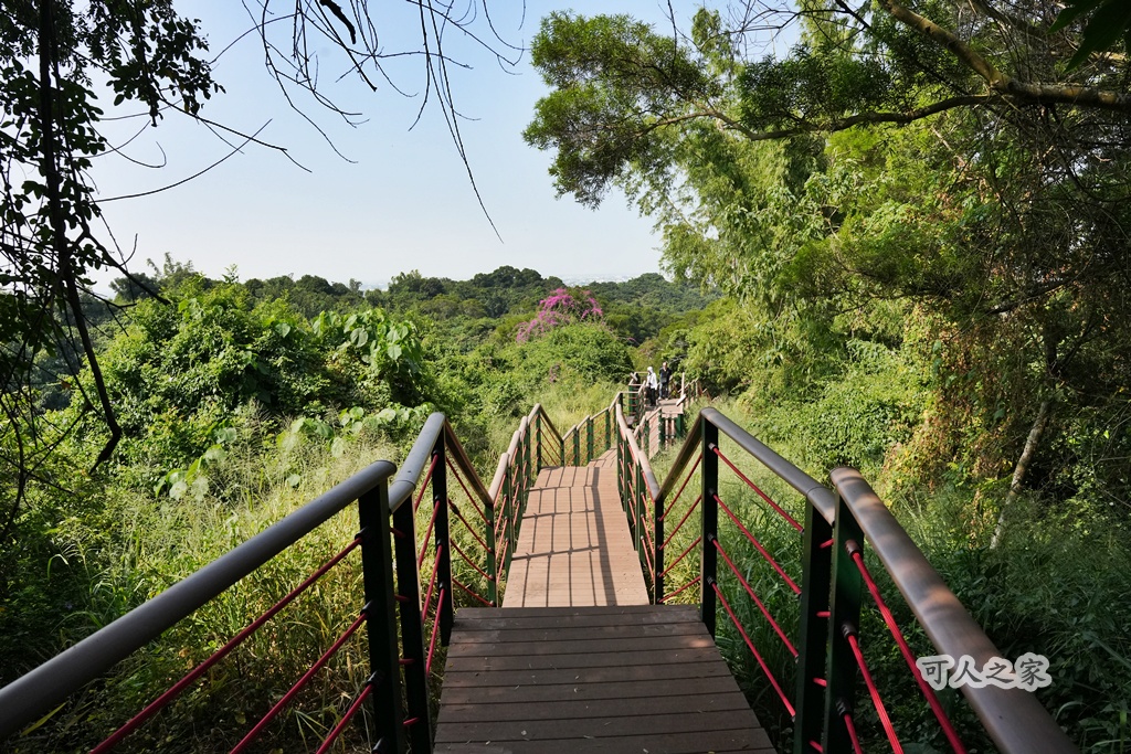 大嶺巷登山步道,彰化花壇步道,虎山巖步道