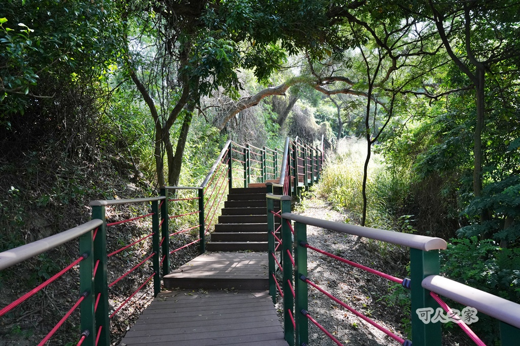 大嶺巷登山步道,彰化花壇步道,虎山巖步道