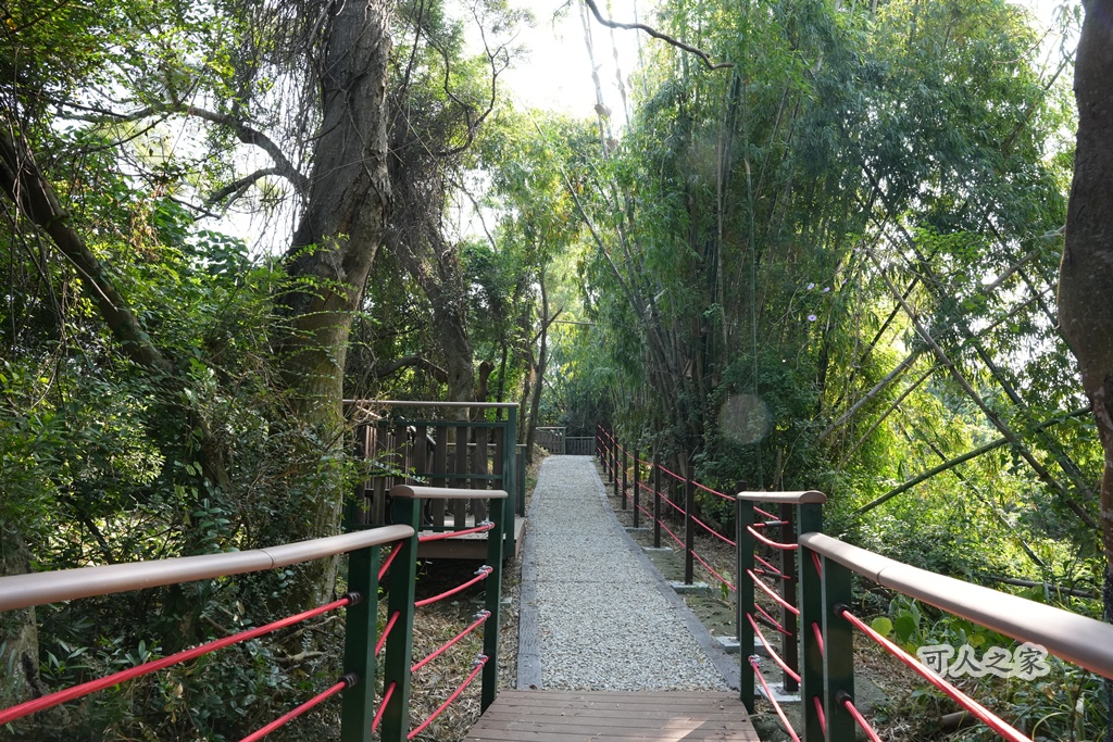 大嶺巷登山步道,彰化花壇步道,虎山巖步道