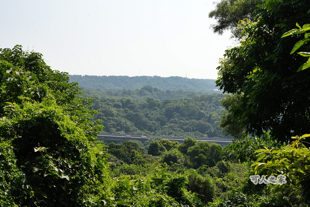 大嶺巷登山步道,彰化花壇步道,虎山巖步道