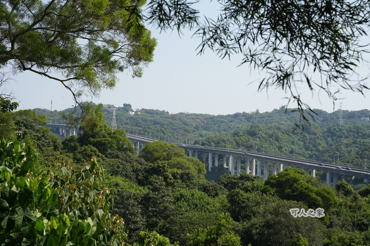 大嶺巷登山步道,彰化花壇步道,虎山巖步道
