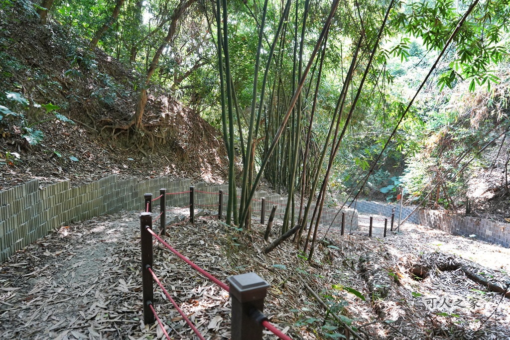 大嶺巷登山步道,彰化花壇步道,虎山巖步道