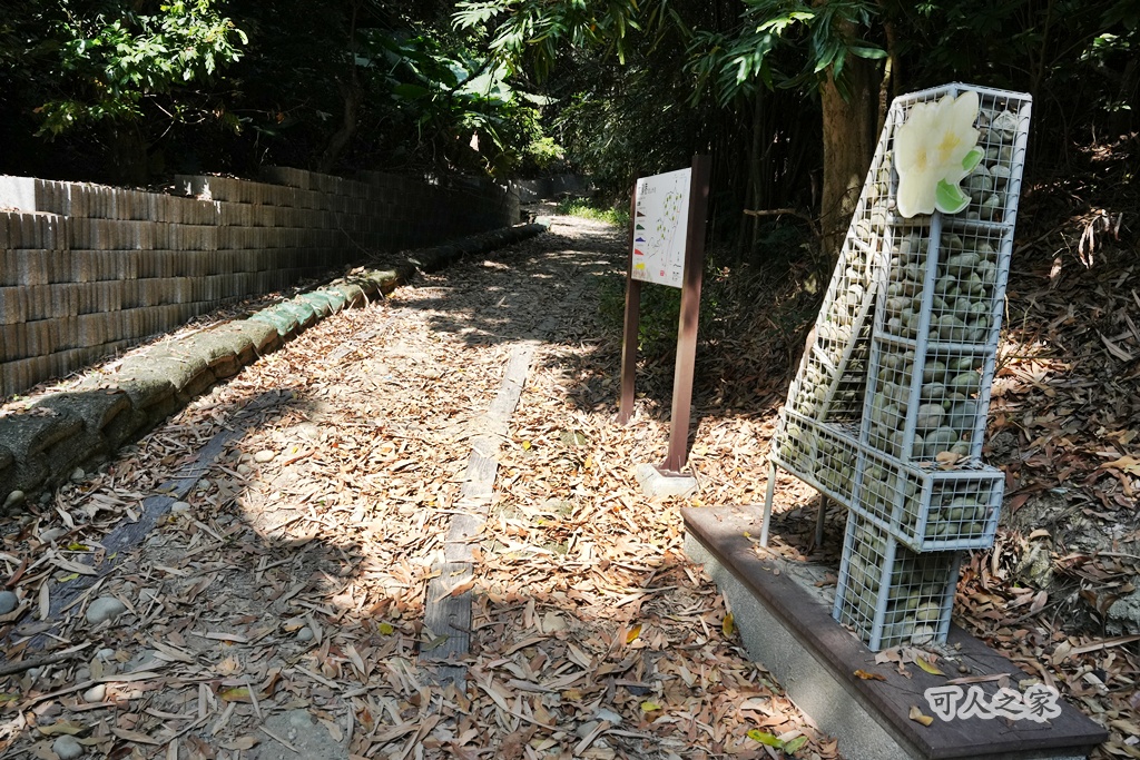 大嶺巷登山步道,彰化花壇步道,虎山巖步道
