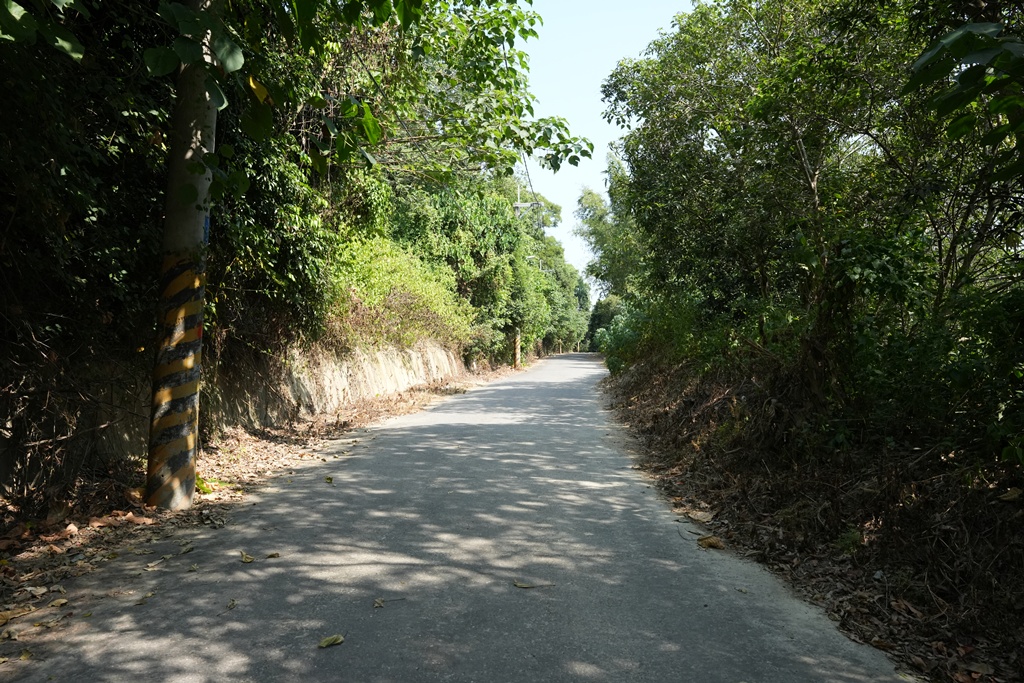 大嶺巷登山步道,彰化花壇步道,虎山巖步道