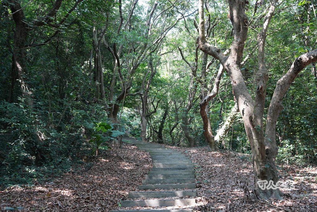 大嶺巷登山步道,彰化花壇步道,虎山巖步道