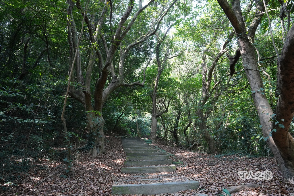 大嶺巷登山步道,彰化花壇步道,虎山巖步道