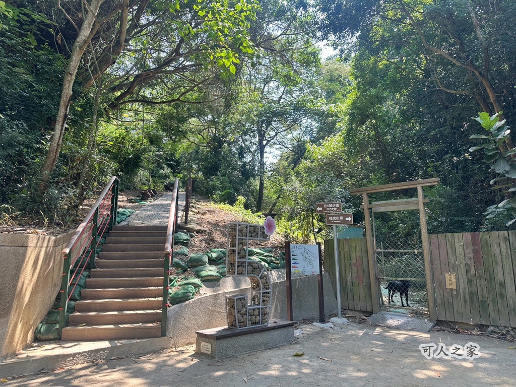 大嶺巷登山步道,彰化花壇步道,虎山巖步道 @可人之家